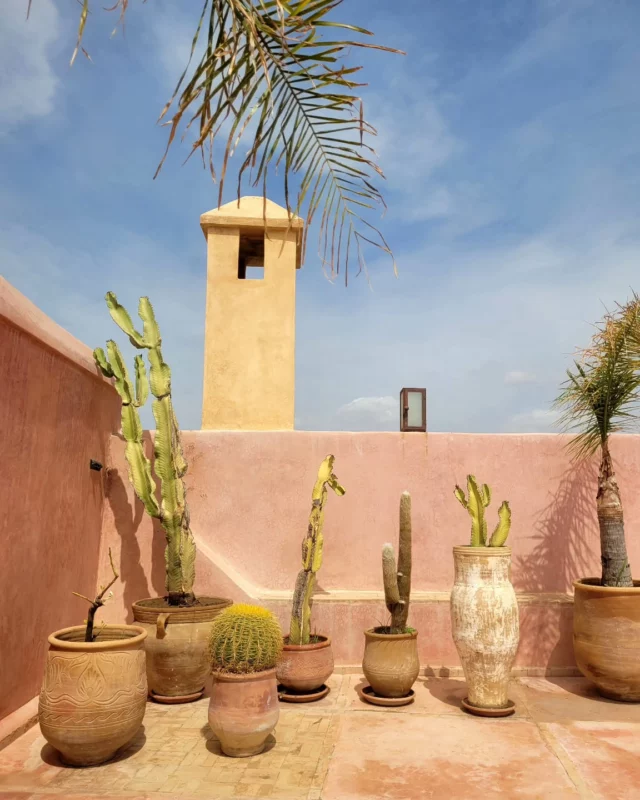 🇲🇦MAROC TRIP🇲🇦
Allez, entre 2 containers, c'est parti pour quelques petits jours à Marrakech !
On part finaliser la nouvelle collection qui sera bientôt à la boutique... Un dernier petit shoot de dépaysement avant le début de la saison estivale.
On vous embarque avec nous en story pour les coulisses de ce nouveau voyage !
Une jolie surprise arrive bientôt, restés connectés.
Merveilleux dimanche à vous 

#marrakech #sourcingtrip #newco #decomarocaine #marrakechdesign #boutiquedeco #comptoirdesexplorateurs